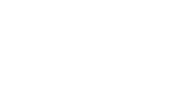 Wolfteam Logo